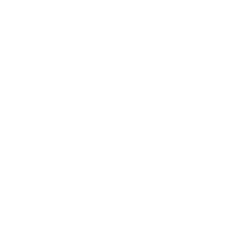 BossaNova